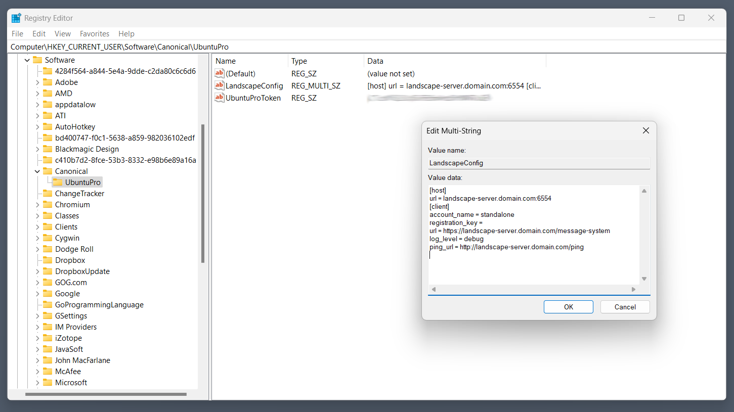 Windows registry with child window showing Landscape configuration.